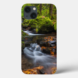 Autumn colour along Starvation Creek Falls iPhone 13 Case
