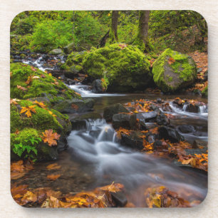 Autumn colour along Starvation Creek Falls Coaster