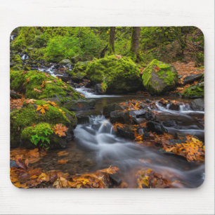 Autumn colour along Starvation Creek Falls Mouse Mat