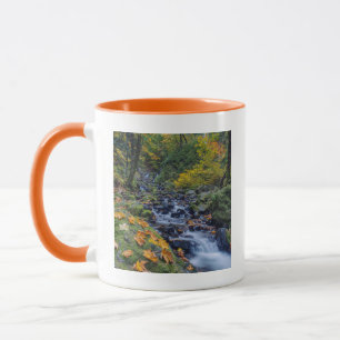 Autumn Colour Along Starvation Creek Falls Mug