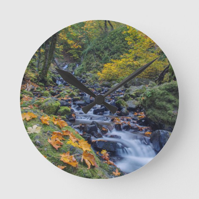 Autumn Colour Along Starvation Creek Falls Round Clock (Front)