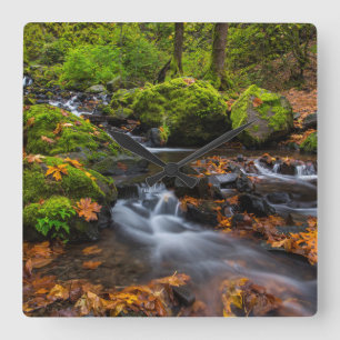 Autumn colour along Starvation Creek Falls Square Wall Clock