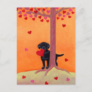Autumn Colour Black Labrador Postcard