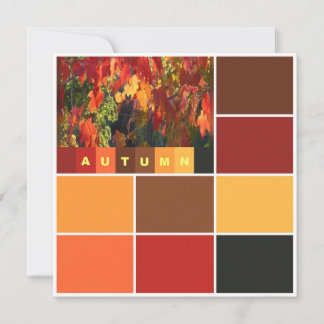 Autumn Colour Blocks Card
