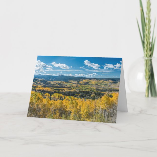 Autumn Colour in Flat Tops | Routt National Forest Card (Front)