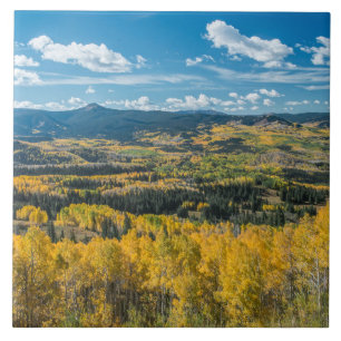 Autumn Colour in Flat Tops   Routt National Forest Tile