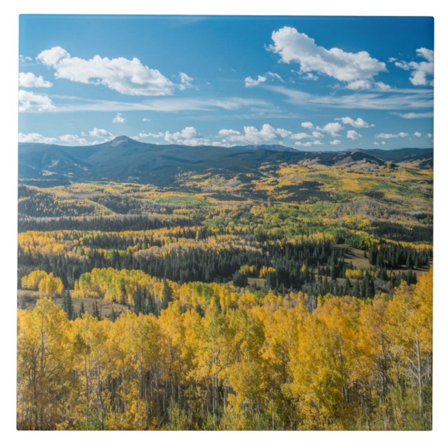 Autumn Colour in Flat Tops | Routt National Forest Tile (Front)