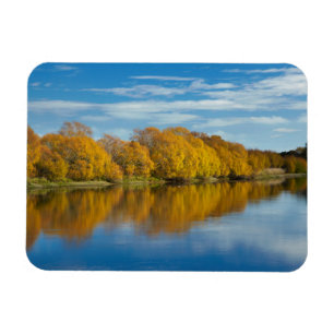 Autumn Colour on Clutha River Magnet