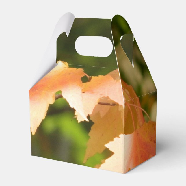 Autumn Colour Party Favour Box (Front Side)