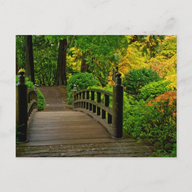 Autumn Colour, Portland Japanese Garden Postcard (Front)