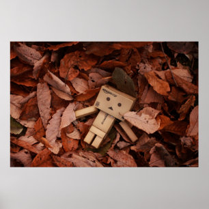 Autumn Colour Poster