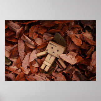 Autumn Colour Poster