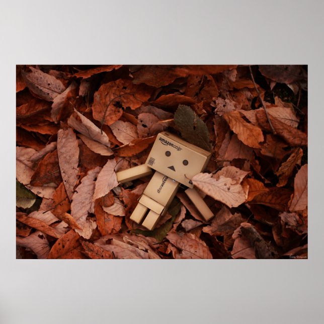 Autumn Colour Poster (Front)