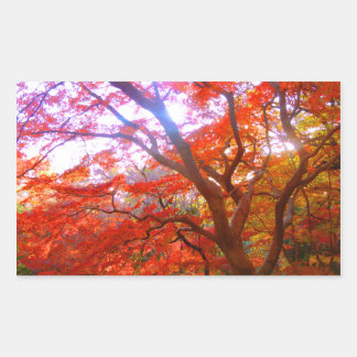 Autumn Colour Rectangular Sticker