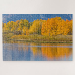 Autumn Coloured Aspen Trees Jigsaw Puzzle