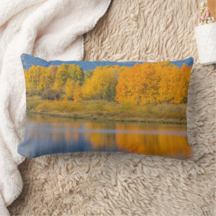 Autumn Coloured Aspen Trees Lumbar Cushion