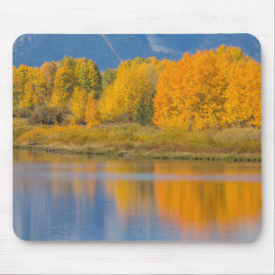Autumn Coloured Aspen Trees Mouse Mat