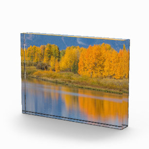 Autumn Coloured Aspen Trees Photo Block
