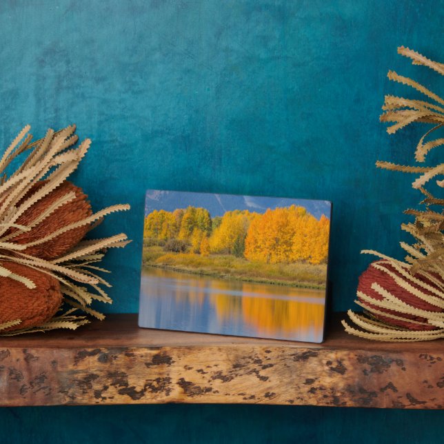 Autumn Coloured Aspen Trees Plaque (Side)