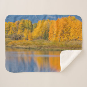 Autumn Coloured Aspen Trees Sherpa Blanket