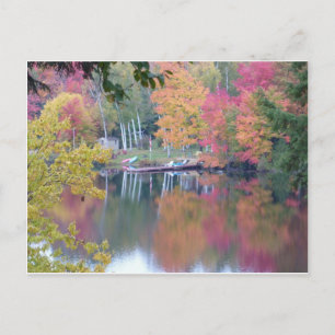 Autumn Coloured Leaves Postcard