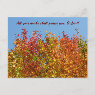 Autumn colours 4 postcard