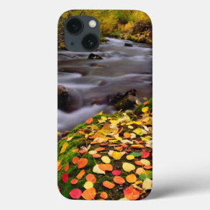 Autumn Colours along McGee Creek iPhone 13 Case