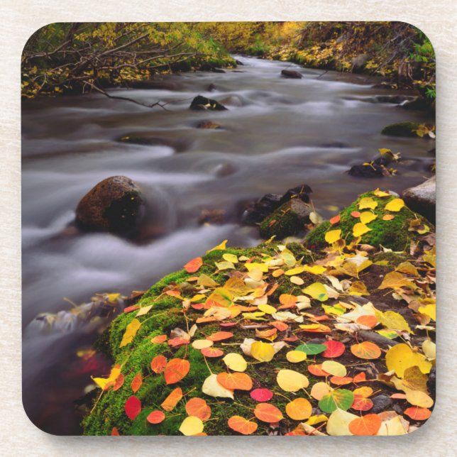 Autumn Colours along McGee Creek Coaster (Front)