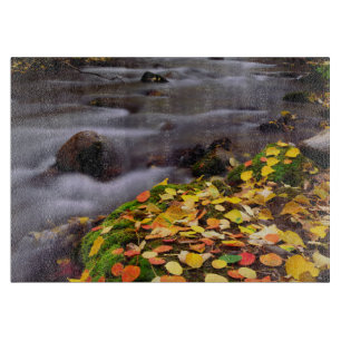 Autumn Colours along McGee Creek Cutting Board
