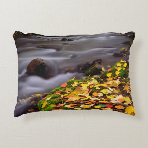 Autumn Colours along McGee Creek Decorative Cushion