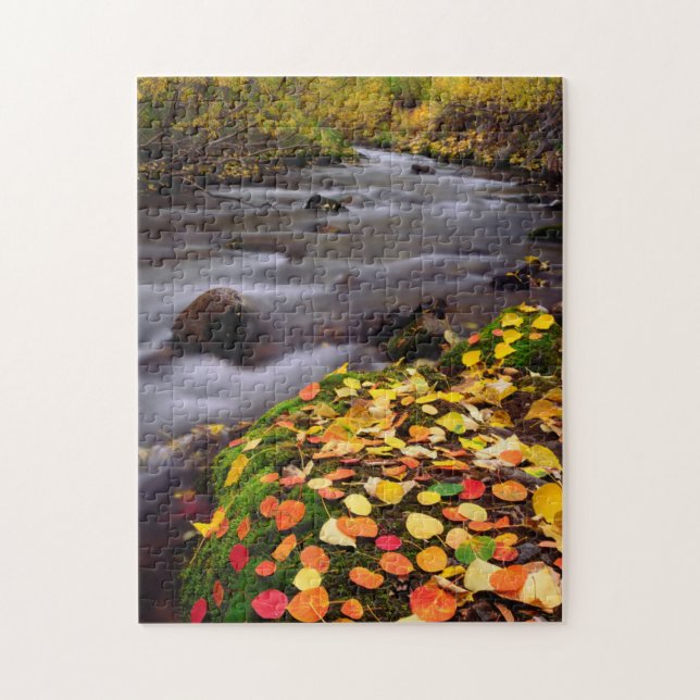 Autumn Colours along McGee Creek Jigsaw Puzzle (Vertical)