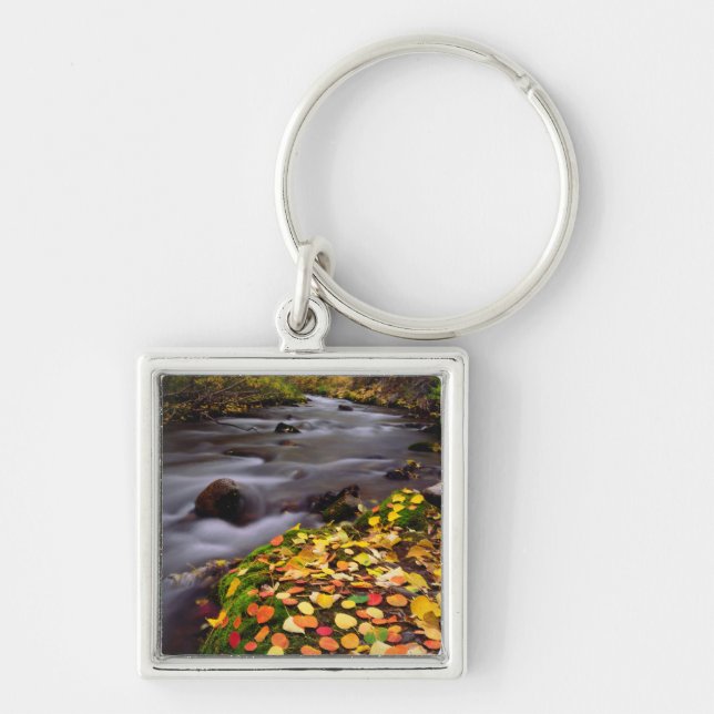 Autumn Colours along McGee Creek Key Ring (Front)