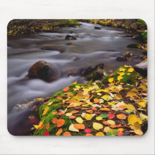 Autumn Colours along McGee Creek Mouse Mat