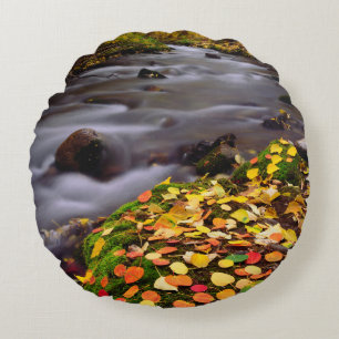 Autumn Colours along McGee Creek Round Cushion
