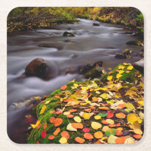 Autumn Colours along McGee Creek Square Paper Coaster