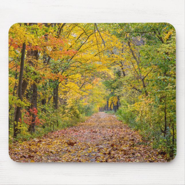 Autumn Colours At Independence State Park Mouse Mat (Front)
