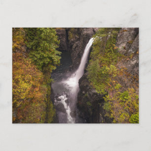 Autumn Colours At The Elk Falls Postcard