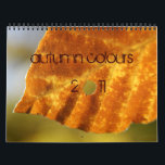 autumn colours calendar<br><div class="desc">if autumn is your favourite season this is your calendar with only fall colours.</div>