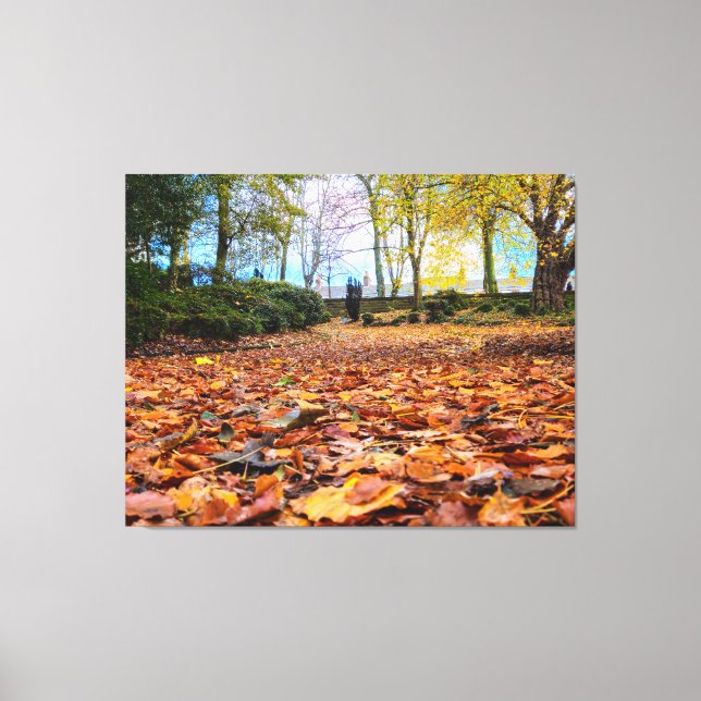 Autumn Colours  Canvas Print (Front)
