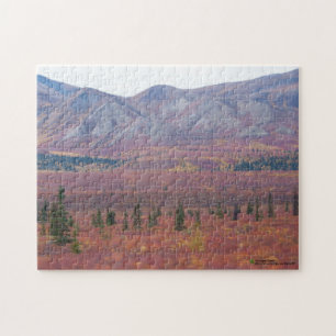 Autumn Colours In Denali, Alaska Photograph Jigsaw Puzzle