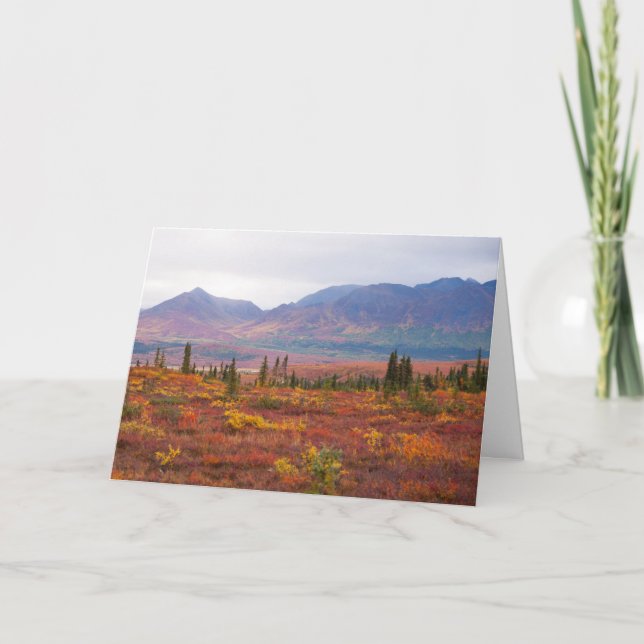 Autumn Colours In Denali National Park, Alaska Card (Front)