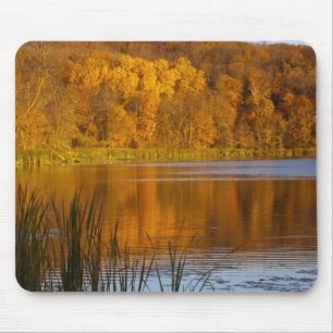Autumn colours in Maplewood State Park near Mouse Mat