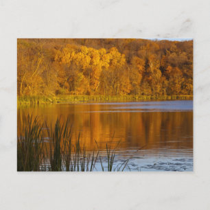 Autumn colours in Maplewood State Park near Postcard