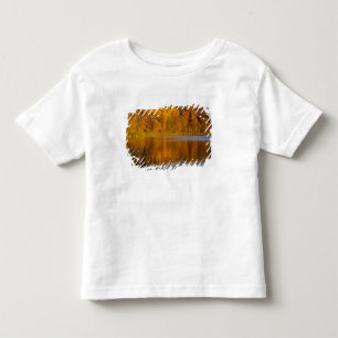 Autumn colours in Maplewood State Park near Toddler T-Shirt