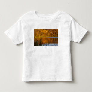 Autumn colours in Maplewood State Park near Toddler T-Shirt