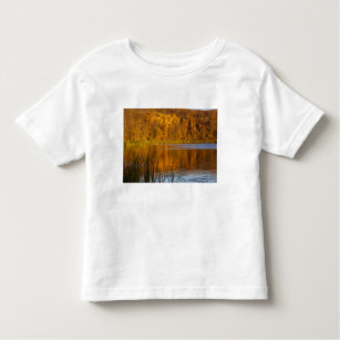 Autumn colours in Maplewood State Park near Toddler T-Shirt
