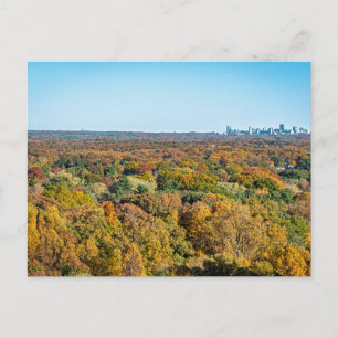 Autumn Colours in Reston Virginia Postcard