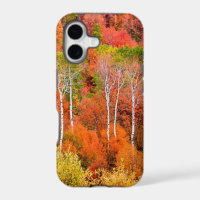Autumn Colours In Rocky Mountains, Wyoming, USA