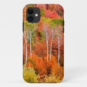 Autumn Colours In Rocky Mountains, Wyoming, USA iPhone 11 Case