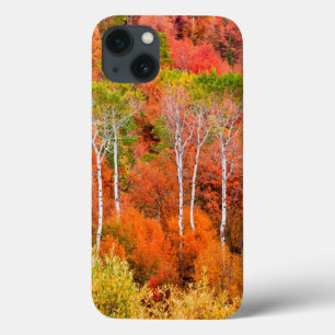 Autumn Colours In Rocky Mountains, Wyoming, USA iPhone 13 Case